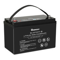 Renogy RBT200LFP12-BT-UK Manual