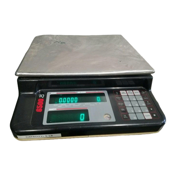 Rice Lake IQ6200 Installation Manual