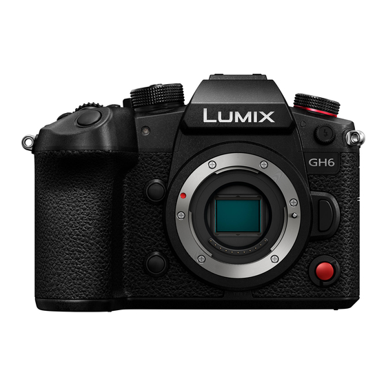 PANASONIC LUMIX DCGH6 OWNER