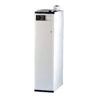 Johnson & Starley ECONOMAIRE 32/INTEJAN Installation, Commissioning & Servicing Instructions