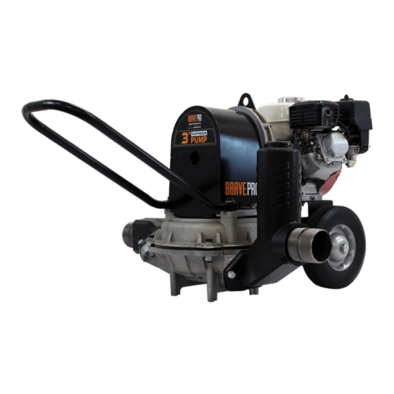 Brave MBRP750DP3 Owner's Manual