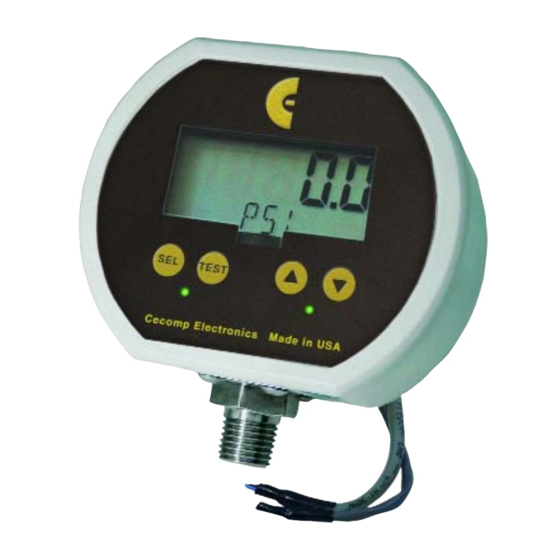 Absolute Process Instruments Cecomp F16ADA Instructions