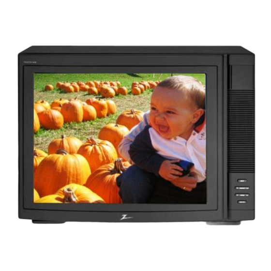User Manuals: Zenith HealthView H20F50DT Healthcare TV