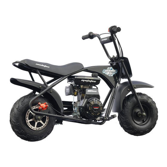 MOTOTEC MT-MINIBIKE-105CC USER MANUAL Pdf Download | ManualsLib