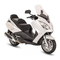 PEUGEOT Satelis 400 Workshop Manual