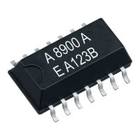 Epson RA8900SA/CE Applications Manual