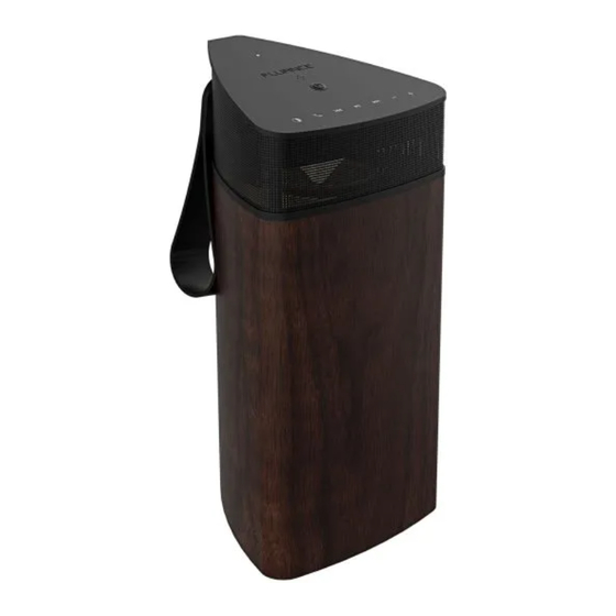Fluance Fi20 User Manual
