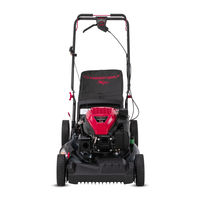 Troy bilt best sale tb380 es