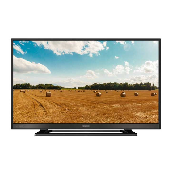 GRUNDIG 40 VLE 521 BG MANUAL Pdf Download | ManualsLib