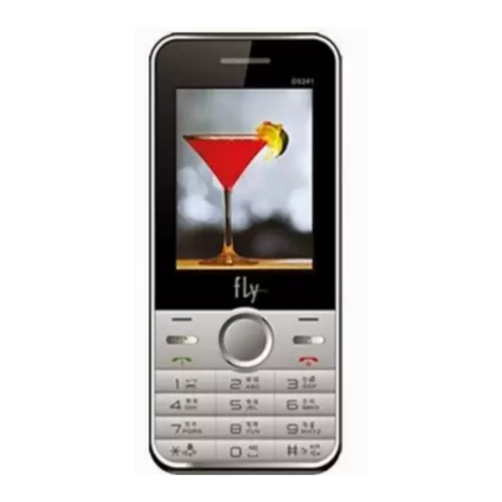 FLY DS241 User Manual
