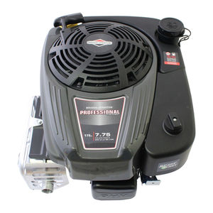 BRIGGS & STRATTON PROFESSIONAL 110000 SERIES OPERATOR'S MANUAL Pdf ...