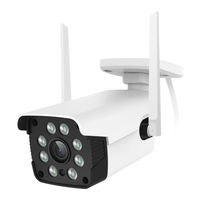 Netvue Vigil Pro Quick Manual