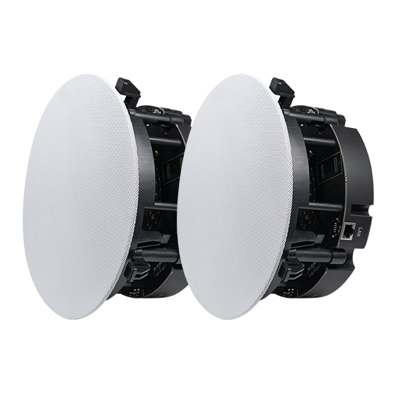 DSPPA DW2235 User Manual