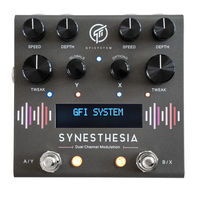 GFI System SYNESTHESIA User Manual