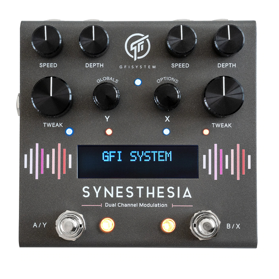 GFI System Synesthesia User Manual