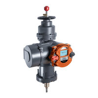 Emerson BETTIS RTS FL Troubleshooting Manual