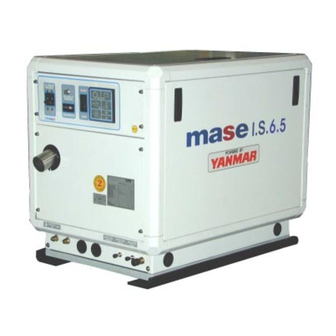 Mase I.S. 6.5 Workshop Manual