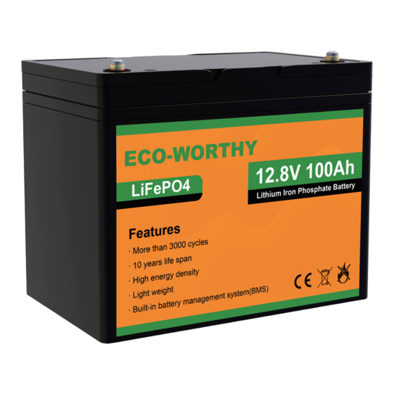 ECO-WORTHY Chargeur de batterie au lithium 12 V, mainteneur de batterie LiFePO4 automatique