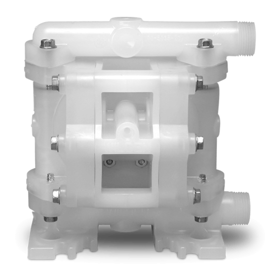 Wilden P25 Advanced Plastic Series Manuals