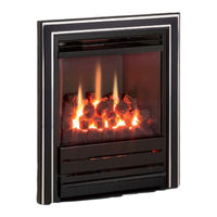 Nu-Flame Vitesse H.E. Use, Installation & Servicing Instructions