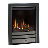 Wildfire CRESSIDA HE GAS FIRE User Instructions
