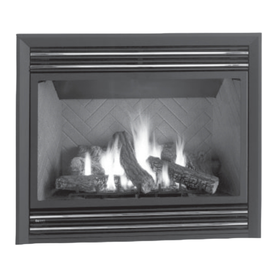 REGENCY FIREPLACE PRODUCTS P481 OWNERS & INSTALLATION MANUAL Pdf Download ManualsLib