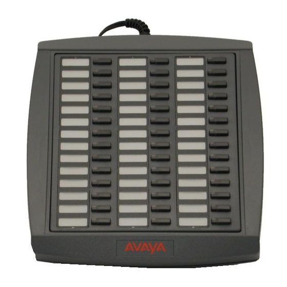 Avaya 20DS Manual