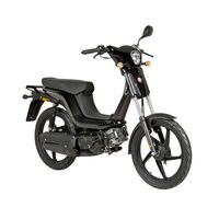 RIEJU Bye Bike One+ 2015 Owner's Manual