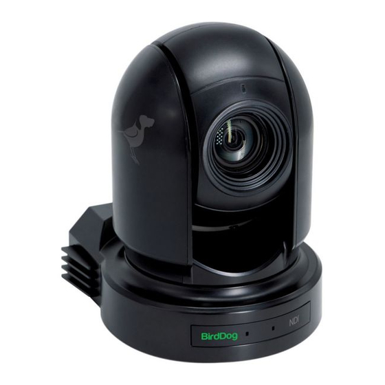 birddog NDI P200 User Manual