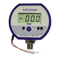 Absolute Process Instruments Cecomp DPG1000DR Series Instructions