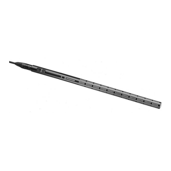 Sennheiser ME 67 Technical Data