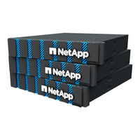 NetApp ASA A30 Install Manual