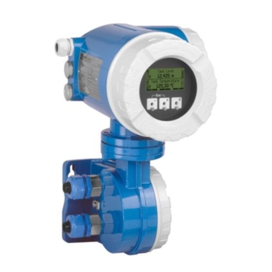 Endress+Hauser NRF590 Operating	 Instruction