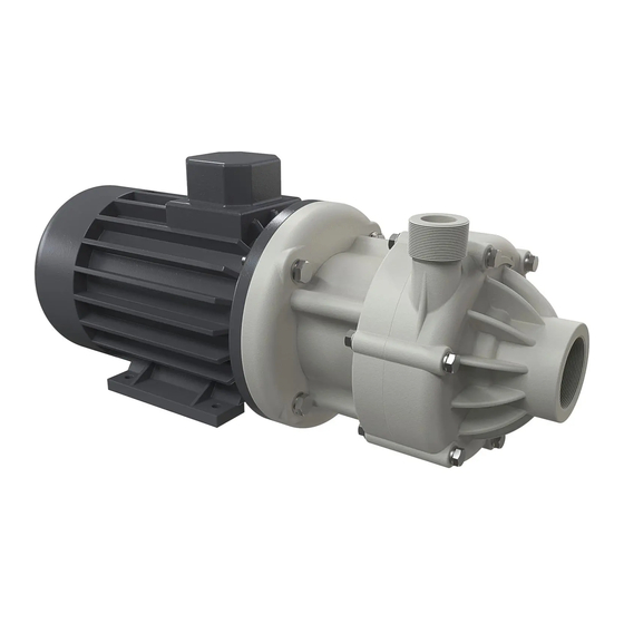 Debem DM10 Instructions For Use And Maintenance Manual