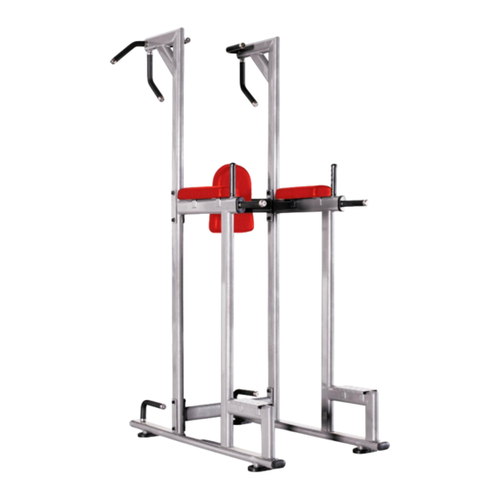 BRONZE GYM H-027 User Manual