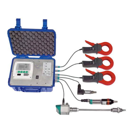 CS Instruments DS 300 mobile version Instruction Manual