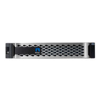 Netapp AFF A250 Manual