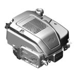 Briggs & Stratton PROFESSIONAL SERIES 110000 Operator's Manual