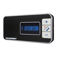 Blaupunkt BT DF 311 User Manual