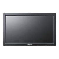 Samsung SyncMaster 460DRN-A Brochure & Specs