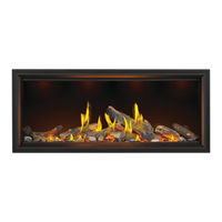 Napoleon Birch-Oak Luminous BLK-OLKTLV62L Installation Instructions Manual