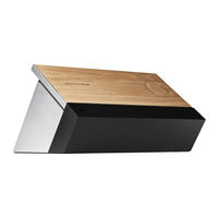 Bang & Olufsen BeoSound Moment User Manual