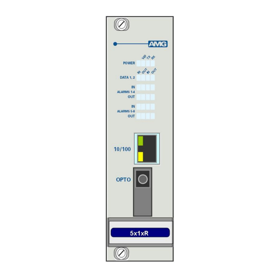 AMG Systems AMG5814R-DF Instruction Manual