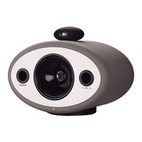 TANNOY Ellipse 10 Passive Information Sheet
