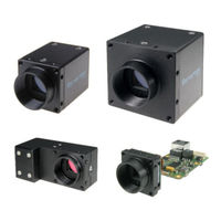 Smartek Vision Giganetix GCP Series User Manual