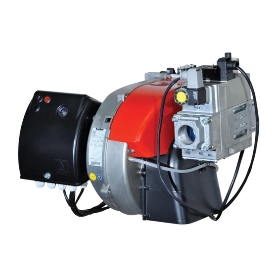 Ecoflam MAX GAS 250 PAB Technical Data Manual