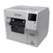 Printer Epson C4000 Setup Manual