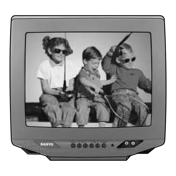 Sanyo DS13320, DS19310 Owner's Manual