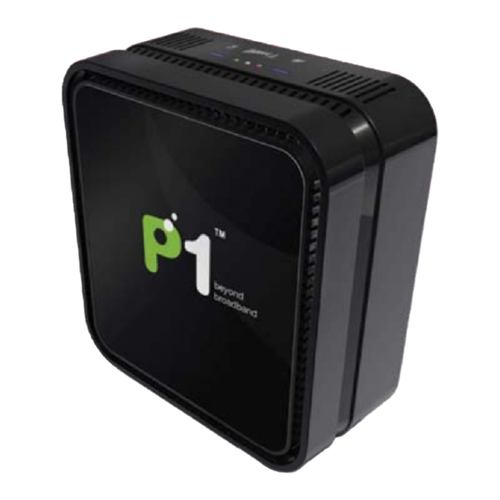 P1 W1max DV-230 Quick Installation Manual