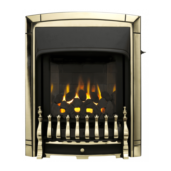 Baxi Fires Division 750 Owner's Manual